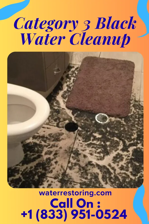 Category 3 Black Water Cleanup in Far Hills, NJ