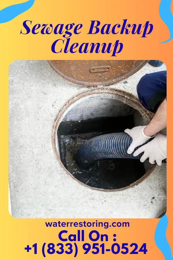Sewage Backup Cleanup in Far Hills, NJ