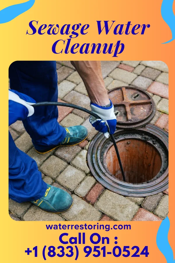 Sewage Water Cleanup in Far Hills, NJ