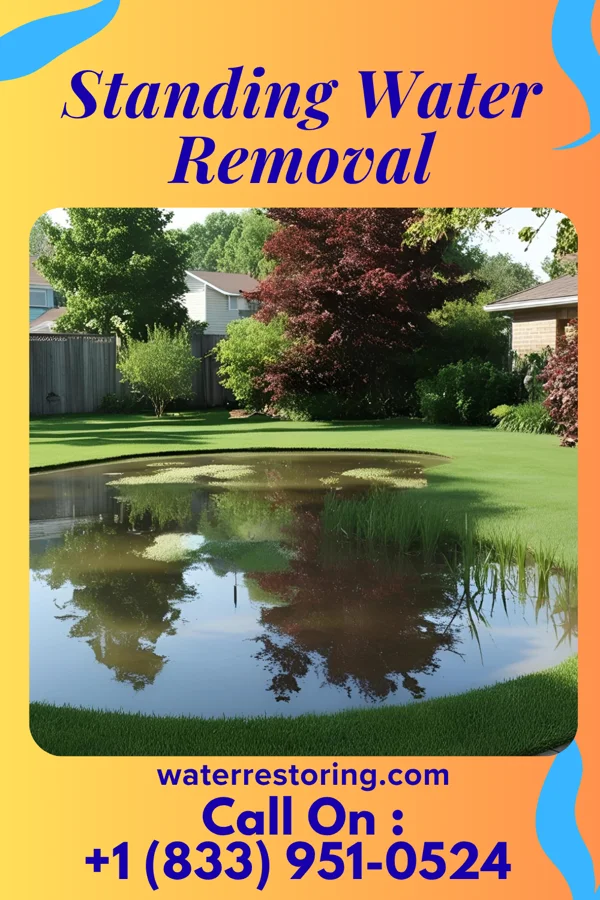 Standing Water Removal in Far Hills, NJ